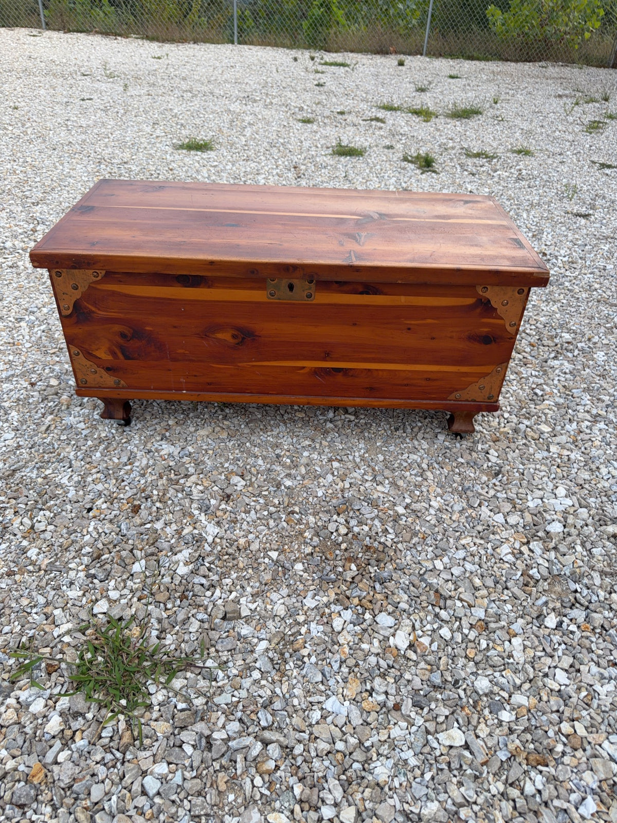 Cedar Chest With Brass Accents and Casters