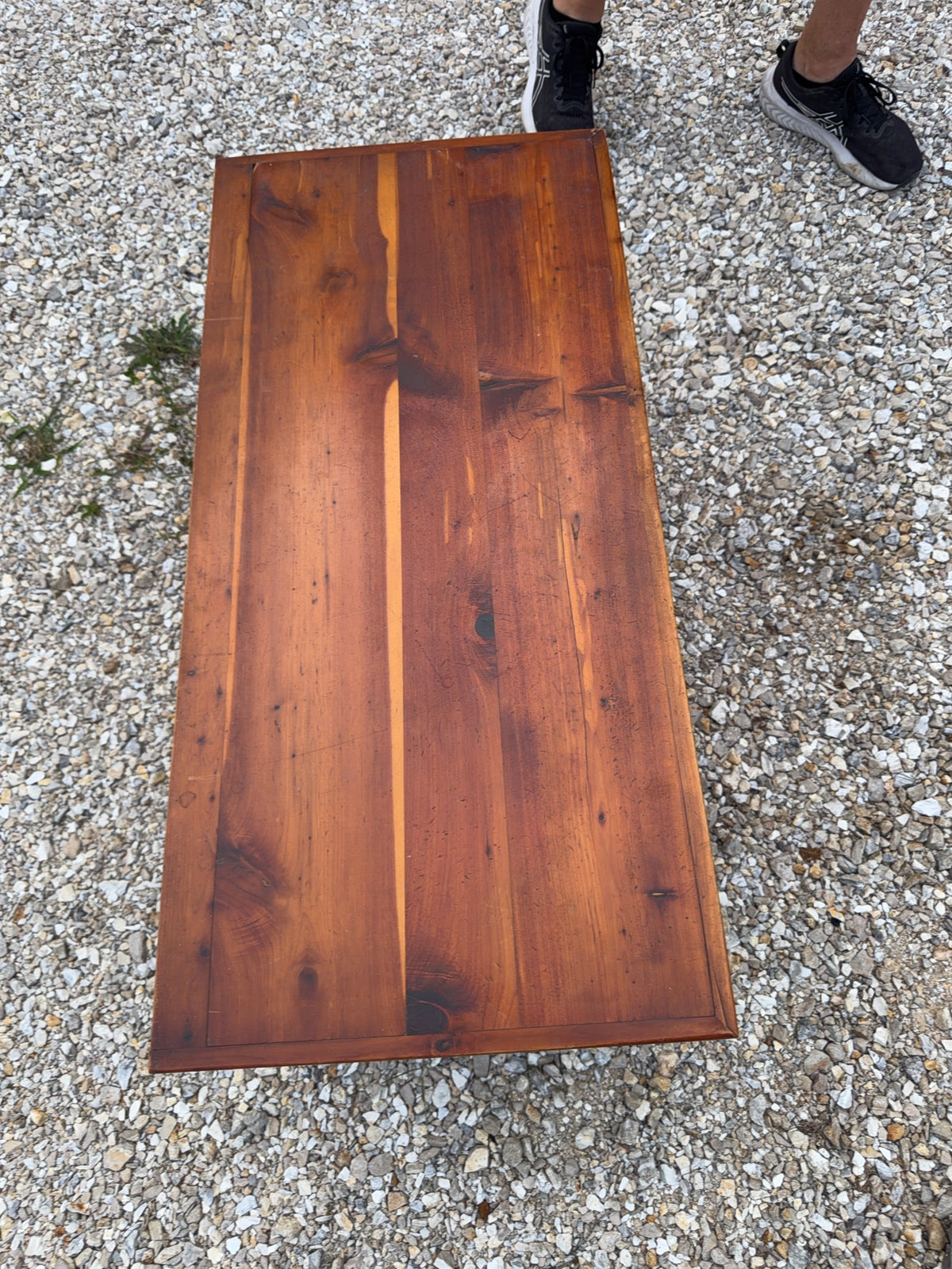 Cedar Chest With Brass Accents and Casters
