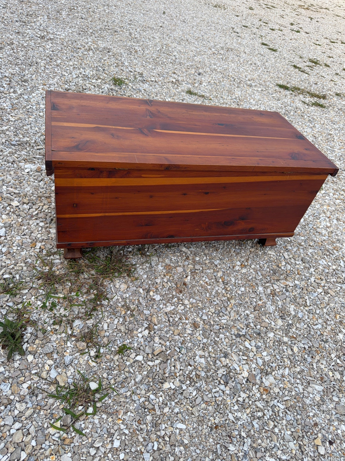 Cedar Chest With Brass Accents and Casters