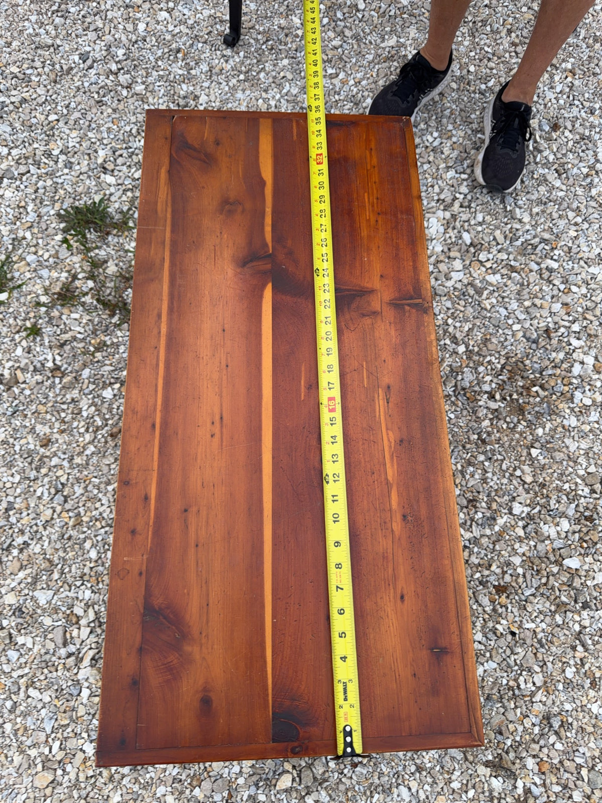 Cedar Chest With Brass Accents and Casters